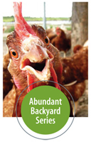 AbundantBackyardHead